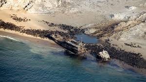 While swimming in the almost waveless waters of the main beach, known as the molen, or by visiting one of. Scenic Flight Coastal Town Swakopmund Andbeyond