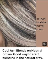 pin auf haar highlights