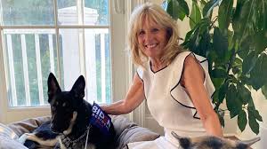 Why Biden S Dog Is Different Than Any White House Pup Joe biden and kamala harris's victory in the 2020 election signals several changes in the coming months. why biden s dog is different than any