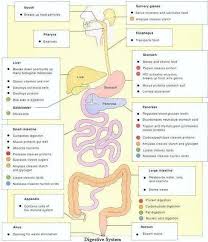 Check spelling or type a new query. Pin On Hypertension Diet