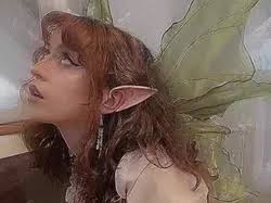 Caça Talentos Fada Bela