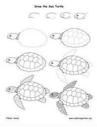 Pin By Maggie Littlefield On Tete De Turtle Drawing Sea Turtle Drawing Turtle Painting