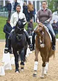 Isabell werth is the most decorated equestrian athlete and dressage rider of all time. Isabell Werth S Lifetime Search For The One Dressage Horses Eventing Horses Horse Dressage