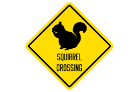 Download Squirrel Crossing Sign Svg Cut File By Creative Fabrica Crafts Creative Fabrica PSD Mockup Templates