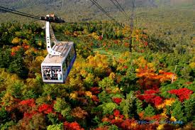 Image result for Hakkoda Walk