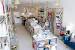 Birthday Party Supply Store