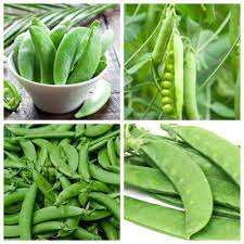 Tiap kantong sayuran kemudian digantungkan pada tiang kayu berwarna biru menyerupai jemuran. Snap Kacang Set Benih 4 Jenis Tumbuhan Sayur Sayuran Garden Seeds Market Penghantaran Percuma