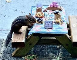 We did not find results for: A Food Writer Made A Tiny Chipmunk Restaurant On Her Porch The Washington Post