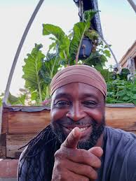 Where is the best place to plant marigolds?