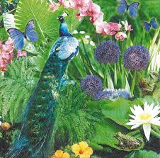 Touche impressionniste appliquée à la photo d'un jardin luxuriant d'une cour avant freeimage, publicdomain, cc0. Serviette Papier Paon Dans Le Jardin Luxuriant Papillon Grenouille Un Grand Marche