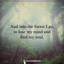 And into the forest i go to lose my mind and find my soul. Into The Forest I Go To Lose My Mind And Find My Soul Gofitstayfit Com Nature Quotes Forest Quotes Inspirational Quotes