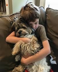 Made - “It's me.” The wounded K9 stopped fighting the moment the rookie  SEAL spoke the unit's secret code. The doors of the Coronado Naval Base  Emergency Veterinary Clinic slammed open at