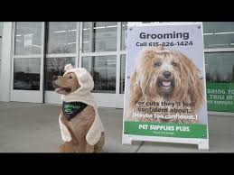 Pet vet clinic tractor supply coupon. Pet Supplies Plus Coupon Grooming 07 2021