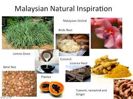 Kavugu, pinang, pinang sirih, pokok pinang, pucuk (indonesia). Malaysia Post Natal Massage Realize Beauty