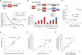 Quantitative Analysis Of Nad Synthesis Breakdown Fluxes Cell Metabolism