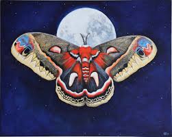 Image result for Cecropia