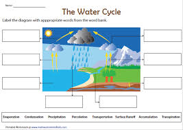 Label The Water Cycle Diagram Water Cycle Water Cycle Worksheet Water Cycle Diagram