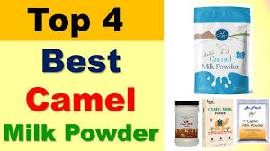 Aadvik camel milk powder is made by the freeze drying process that ensures that all the it is available on all online stores, whether it is amazon, flipkart, or on the official websites of the companies selling camel milk. Best Camel Milk Powder India 2020 Pure Camel Milk Powder Online à¤Š à¤Ÿà¤¨ à¤• à¤¦ à¤§ à¤ª à¤‰à¤¡à¤° Youtube