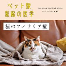 猫のフィラリア症について | デビフペット株式会社
