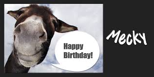 Viel gesundheit und freude für deine zukunft! Burzeltag Foto Bild Gratulation Und Feiertage Geburtstag Der Foto Ordner 2016 Bilder Auf Fotocommunity