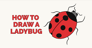How to draw a ladybug. How To Draw A Ladybug Really Easy Drawing Tutorial