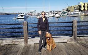 Look at pictures of goldendoodle puppies who need a home. Beach Doodles Australian Labradoodle Breeder By Beach Doodles In Wilmington Nc Alignable