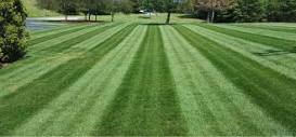 Lawn Mowing & Grass Cutting Services » Raleigh NC
