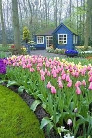 Tulip Garden Beautiful Gardens Planting Flowers Dream Garden