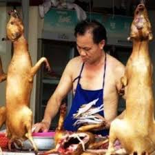 Rasele de caini mici cantaresc mai putin de 10 kg, iar inaltimea nu depaseste 40 cm. China 15 000 De Caini Gatiti La Festivalul Gourmet Mobile