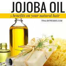 Jojoba oil's benefits are not confined to your body; 5 Benefits Of Jojoba Oil On Your Natural Hair
