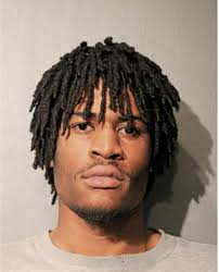 ᐅ Illinois Criminal Records 2009-2026