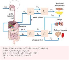 Dreptul de inchiriere este un drept personal. Bayesian Metamodeling Of Complex Biological Systems Across Varying Representations Biorxiv