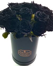 Bloom box flowers south africa. Eternal Black Roses In A Luxury Gift Box Gemma Bloom