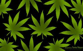 #weed #wallpaper #weed wallpaper #weed wallpaper wendesday #stoner #smoke #high #pot #420 #marijuana #rad. Free Download Weed Leaf Wallpaper Tumblr Weed Leaf 5 By Nym Corleone 900x563 For Your Desktop Mobile Tablet Explore 46 Weed Leaf Wallpapers Live Weed Wallpapers That Move Cool