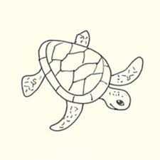 Draw A Sea Turtle In 3 Easy Steps Turtle Drawing Sea Turtle Drawing Turtle Sketch