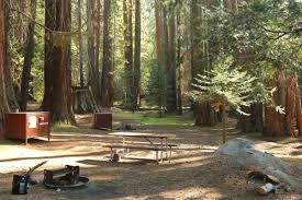 The Ultimate Guide to the Best Camping in Sequoia National Park
