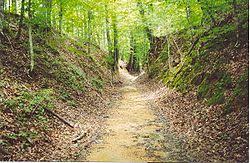We did not find results for: Natchez Trace Wikipedia