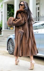 Pin On Furs