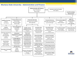 organizational chart montana state university