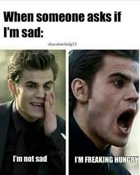 Pin By Samantha Weekly On Tvd Universe Vampire Diaries Memes Vampire Diaries Funny Vampire Diaries Stefan