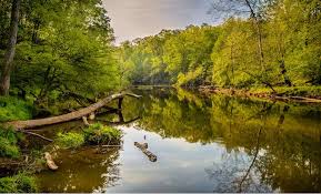Maybe you would like to learn more about one of these? 30 Best Places For Camping In North Carolina Beyond The Tent