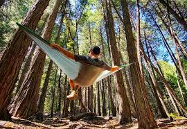 And the combined weight of. 10 Best Backpacking Hammocks Of 2021 Cleverhiker
