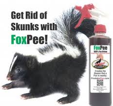 Clean the home office by going paperless and getting rid of the paper. How To Get Rid Of Skunks Fox Urine Skunk Repellent