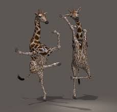 Dancing Giraffes By Erich Mangl Giraffe Pictures Giraffe Giraffe Decor