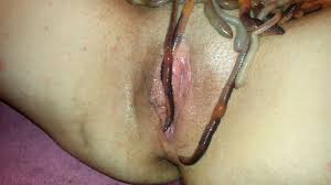 worm play - women naked with insects | MOTHERLESS.COM ™