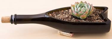 Most cactus and succulent soil mixes for succulents are only part of the picture when discussing successful propagation and. Pin On Fat Plants