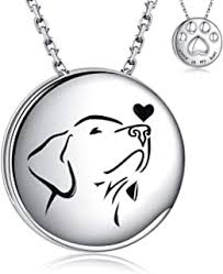There are many types of pet memorial jewelry urns that are made from silver, gold plate, 14 karat gold, stainless steel, brass. Amazon Com Pet Cremation Jewelry