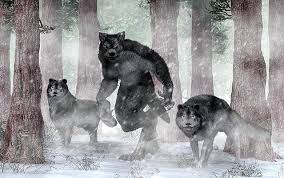 Cahal discovers that his old pack is in danger, and he must come to its aid. Werewolf Paintings Fine Art America
