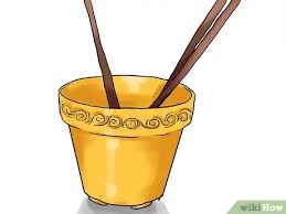 We did not find results for: 3 Cara Untuk Menanam Mentimun Dalam Pot Wikihow