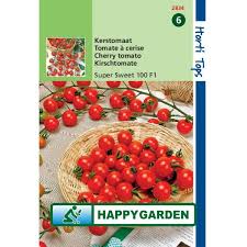 Plants bear fruits throughout the season. Horti Tops Cherry Tomato Super Sweet 100 F1